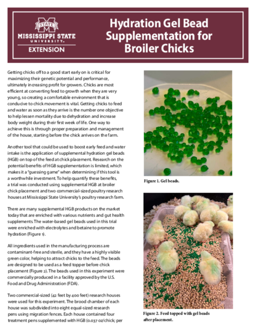 Preview of P4090_web