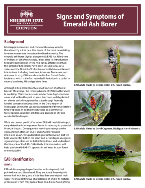 Preview of P2896_web
