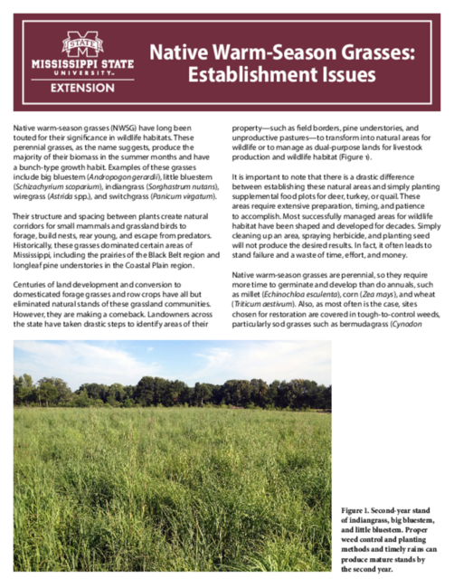 Preview of P2868_web