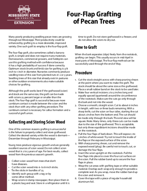 Preview of P3810_web