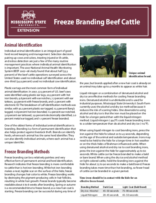 Preview of P2464_web
