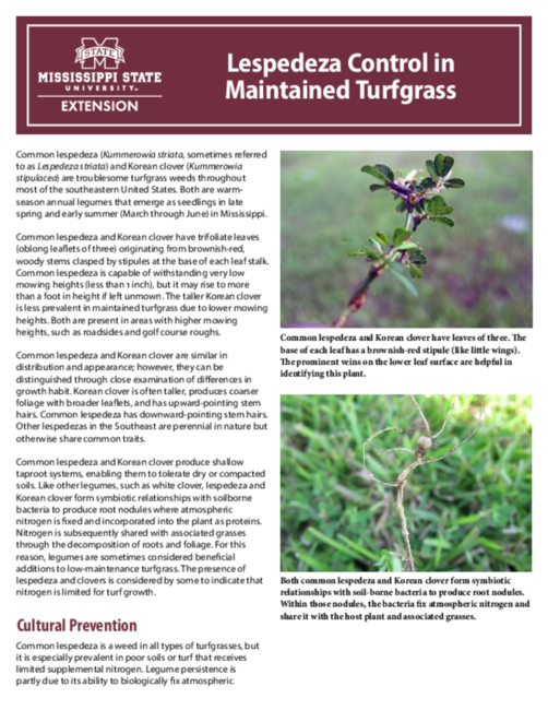Preview of P2910_web