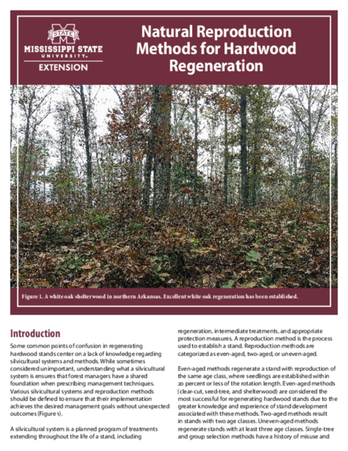 Preview of P3742_web
