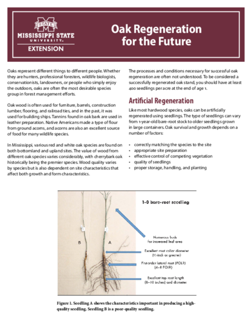 Preview of P2625_web