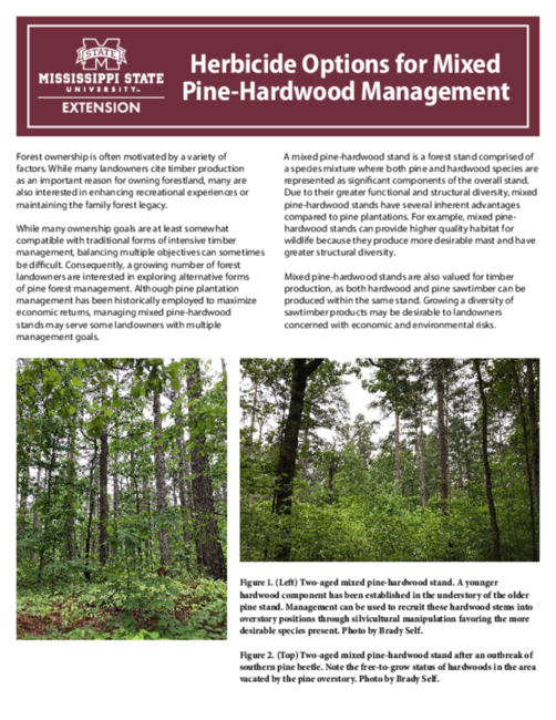 Preview of P3264_web
