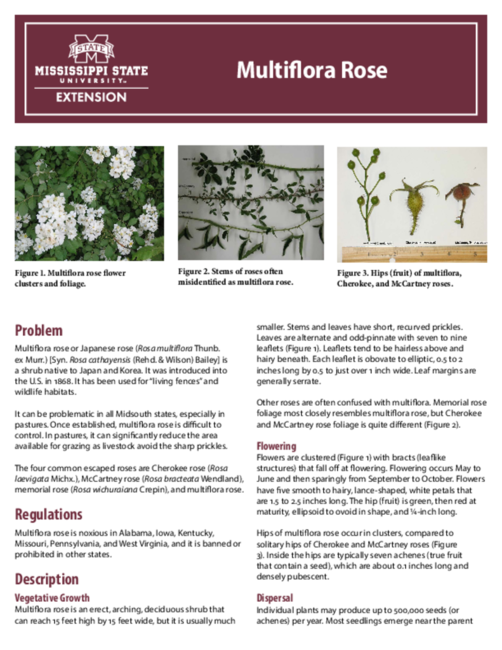 Preview of P3280_web