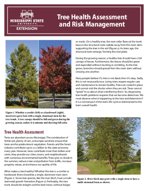 Preview of P3717_web