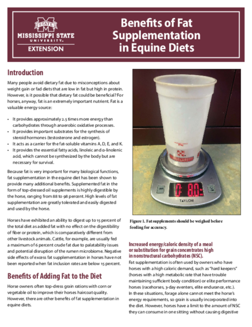 Preview of P3734_web