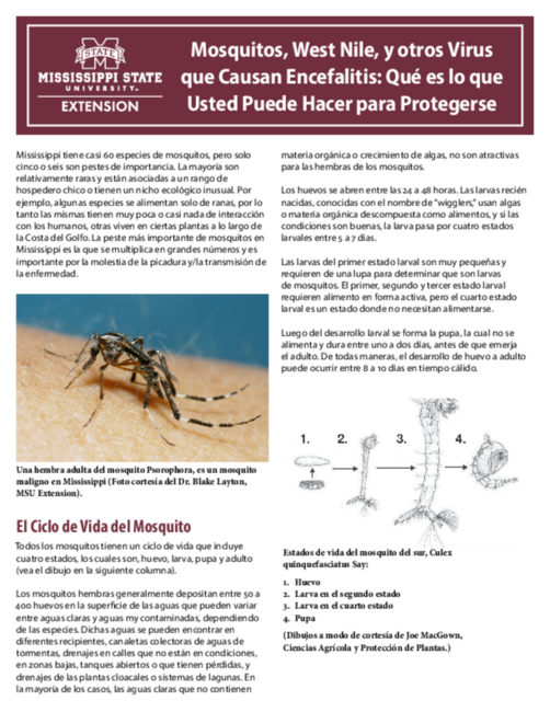 Preview of P2548_web
