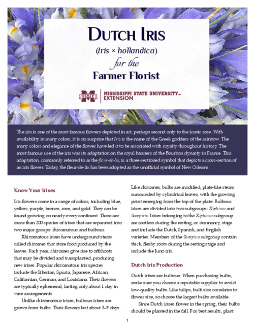 Preview of P3740_web