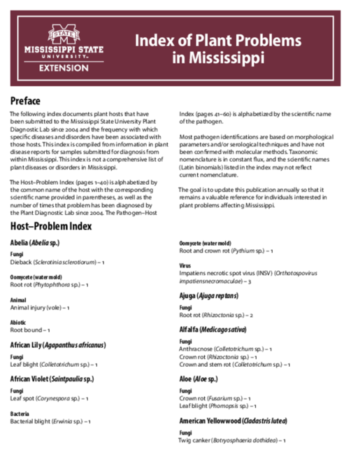 Preview of P4099_web
