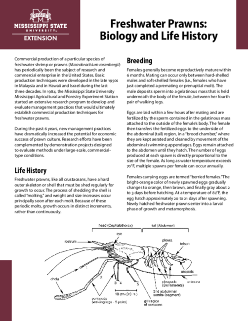 Preview of P3870_web