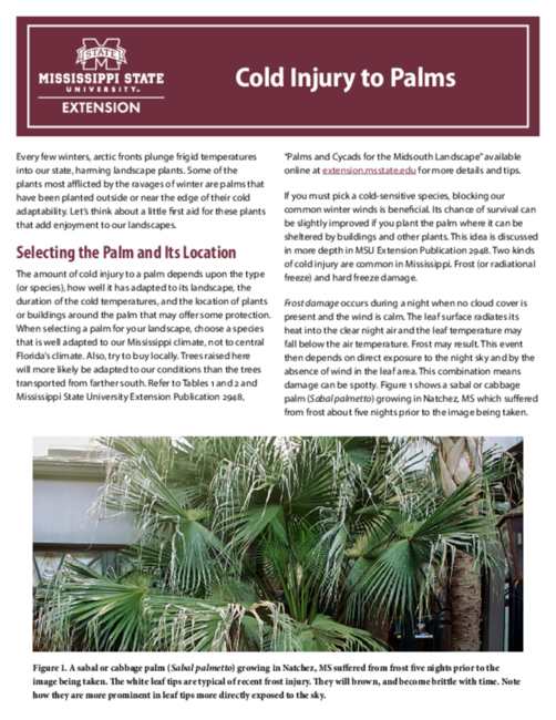 Preview of P2828_web