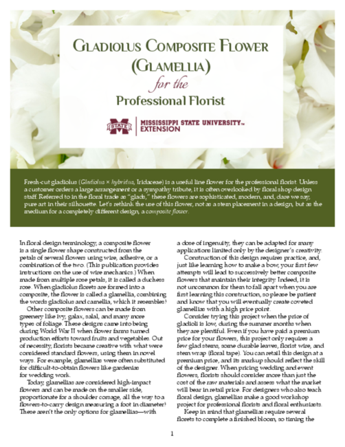 Preview of P3736_web
