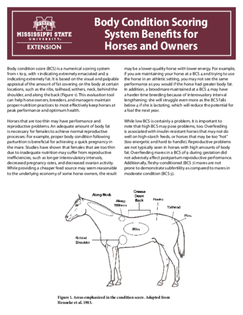 Preview of P2947_web