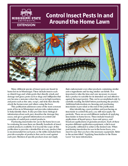 Preview of P2331_web