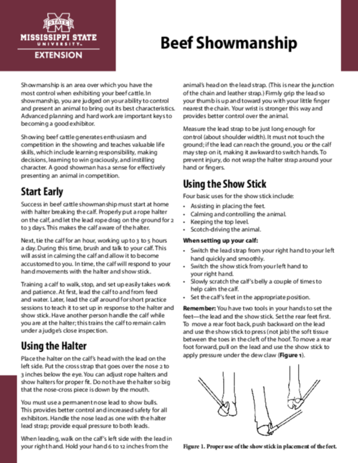 Preview of P2210_web