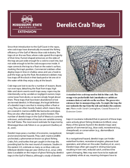 Preview of P3334_web