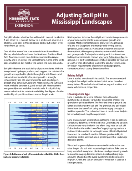 Preview of P2831_web