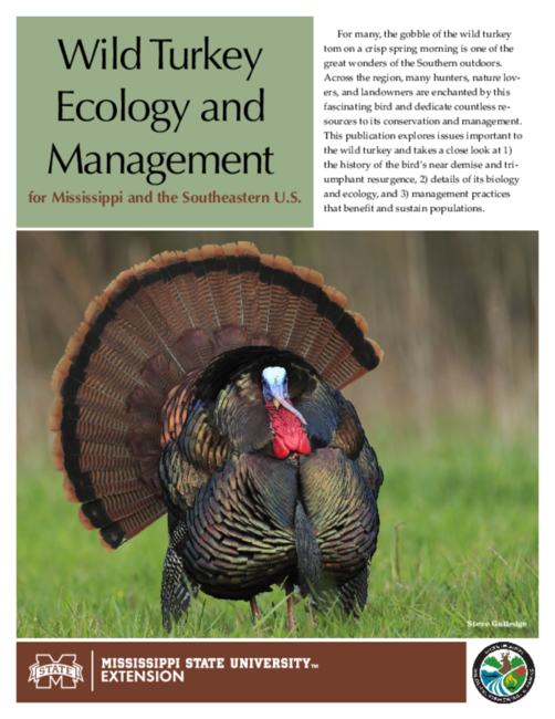 Preview of P3406_web