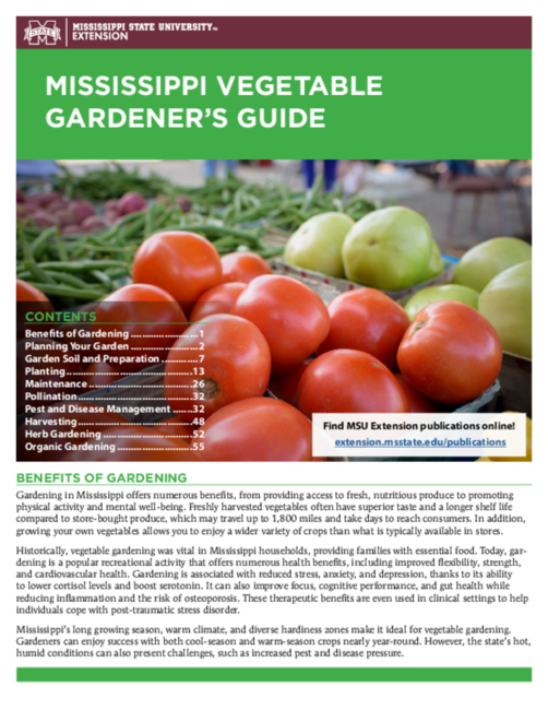 Preview of P3616_web