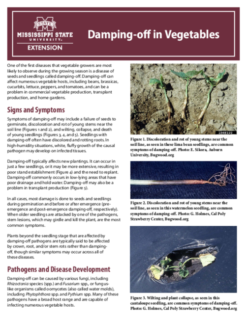 Preview of P3747_web