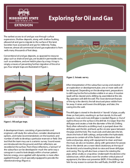 Preview of P3317_2025_web