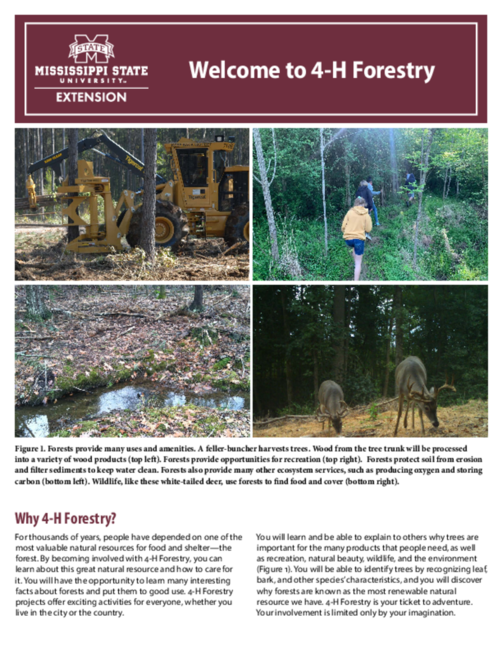Preview of P1205_web