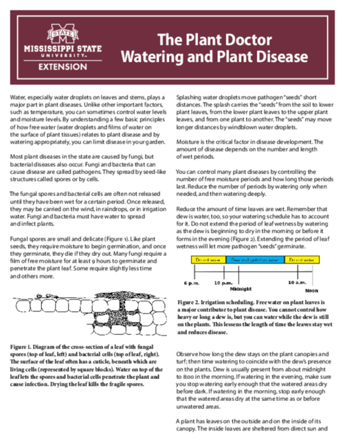 Preview of P3881_web