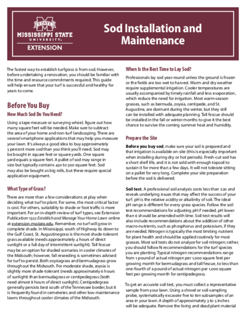 Preview of P2951_web