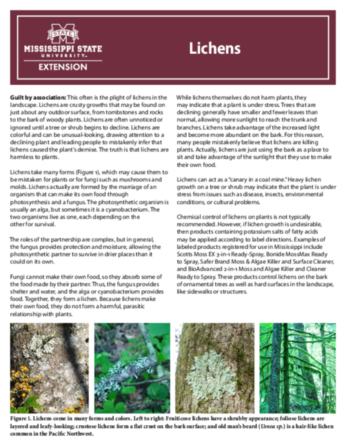 Preview of P2946_web