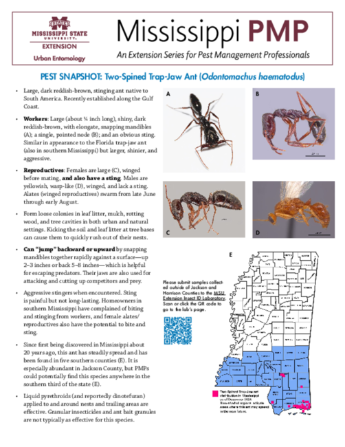 Preview of P4123_web