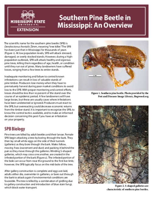 Preview of P2748_web