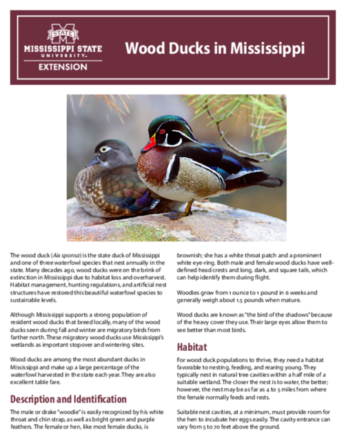 Preview of P3882_web