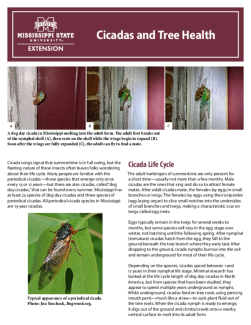 Preview of P4122_web