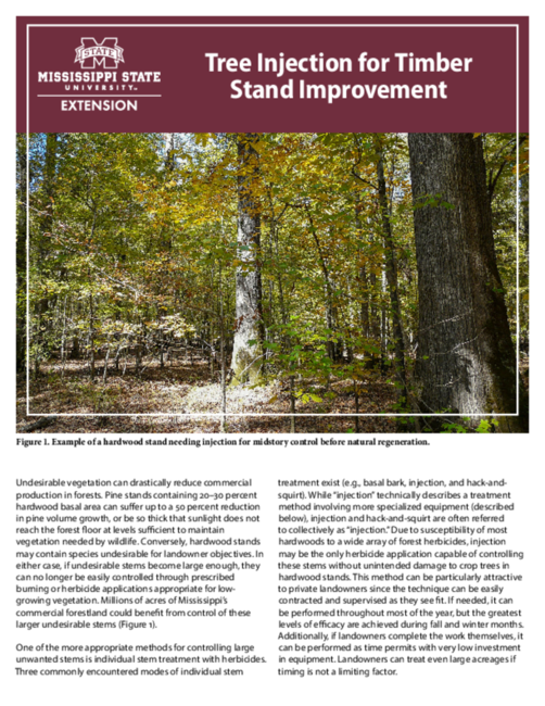 Preview of P2942_web