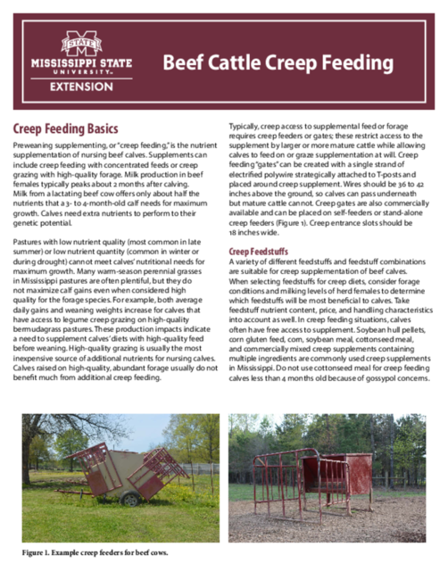 Preview of P2524_web