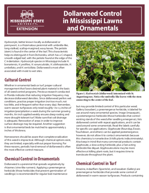 Preview of P4126_web