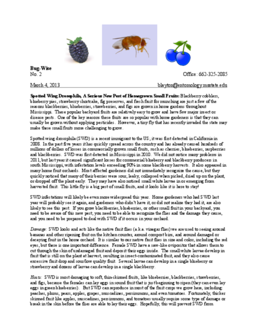 Preview of bw02.pdf