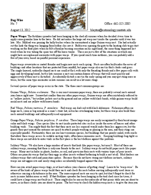 Preview of bw07.pdf