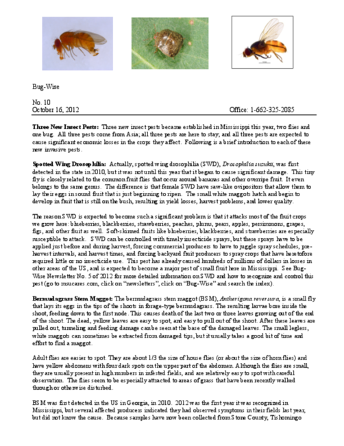 Preview of bw10.pdf