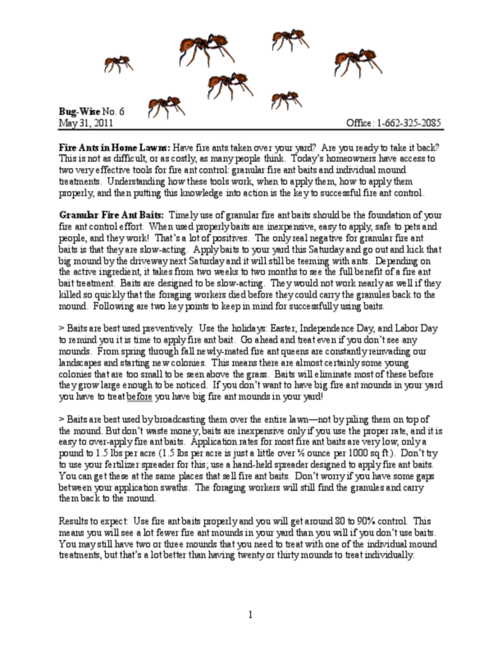 Preview of bw06_2011.pdf