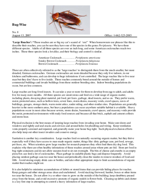 Preview of bw0807.pdf