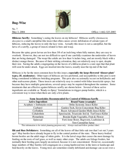 Preview of bw0704.pdf