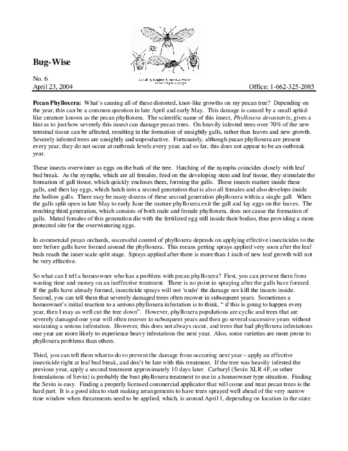 Preview of bw0604.pdf