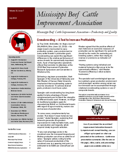 Preview of jul2013mbcia.pdf