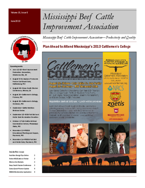Preview of jun2013mbcia.pdf