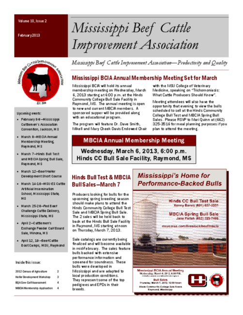 Preview of feb2013mbcia.pdf