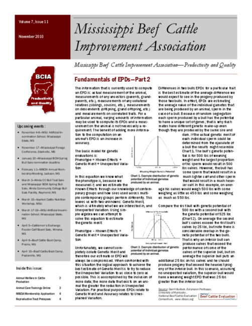 Preview of nov2010mbcia.pdf