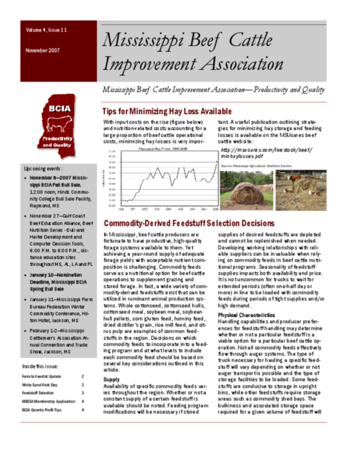 Preview of nov2007mbcia.pdf